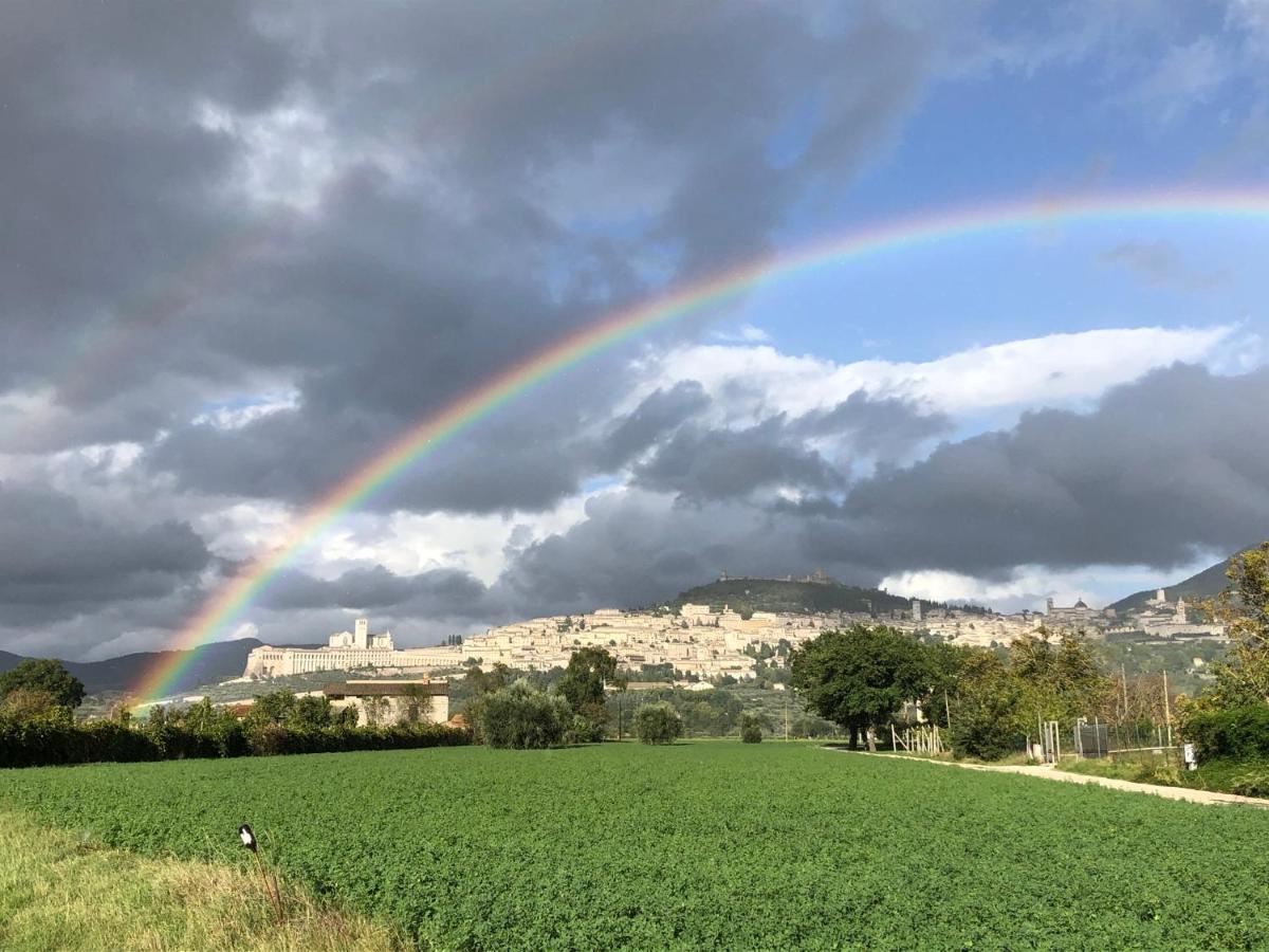 La Casa Dell'Artista Lejlighed Assisi Eksteriør billede