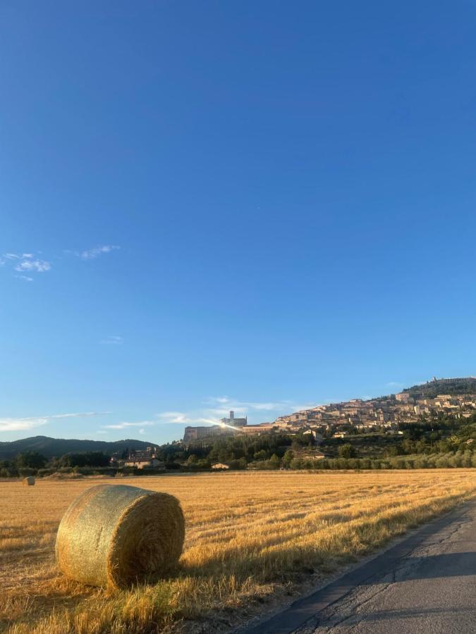 La Casa Dell'Artista Lejlighed Assisi Eksteriør billede