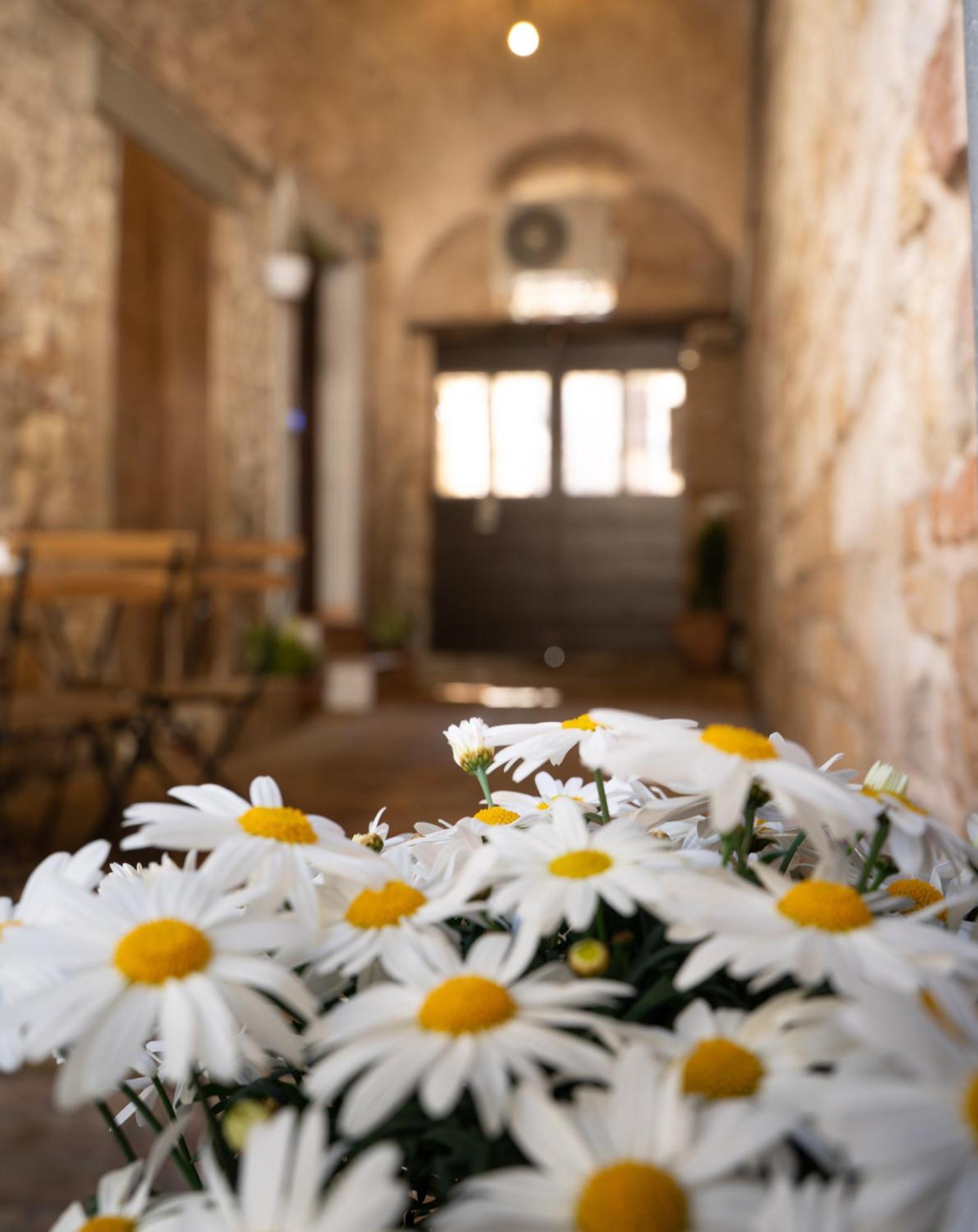 La Casa Dell'Artista Lejlighed Assisi Eksteriør billede